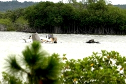 Bahamas plane crash kills all 8 on board