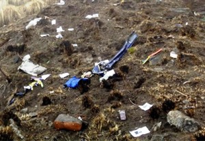 Plane crashes in Nepal; 23 feared dead